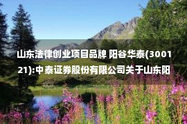 山东法律创业项目品牌 阳谷华泰(300121):中泰证券股份有限公司关于山东阳谷华泰化工股份有限公司创业板以简易程序向特定对象发行股票之发行保荐书