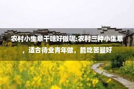 农村小生意干啥好做呢:农村三种小生意，适合待业青年做，能吃苦最好