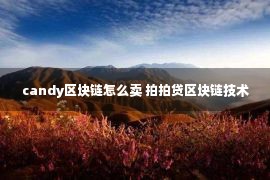 candy区块链怎么卖 拍拍贷区块链技术