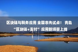 区块链与税务应用 全国率先试点！ 青岛“区块链+支付”应用新场景上线