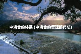 中海合约体系 (中海合约管理部代总)