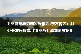 创业资金趋势图分析报告:东方网力：非公开发行股票（创业板）募集资金使用的可行性分析报告（修订版）