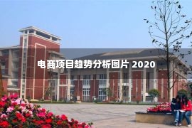 电商项目趋势分析图片 2020