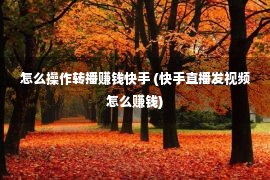 怎么操作转播赚钱快手 (快手直播发视频怎么赚钱)