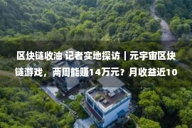 区块链收油 记者实地探访｜元宇宙区块链游戏，两周能赚14万元？月收益近100％？