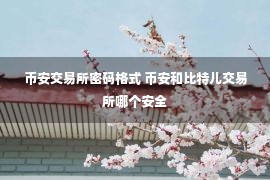 币安交易所密码格式 币安和比特儿交易所哪个安全