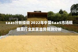 saas分析经验 2022年中国SaaS市场规模及行业发展趋势预测分析