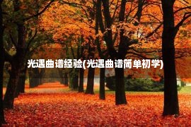 光遇曲谱经验(光遇曲谱简单初学)