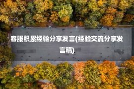 客服积累经验分享发言(经验交流分享发言稿)