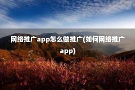 网络推广app怎么做推广(如何网络推广app)