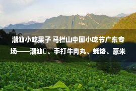 潮汕小吃果子 马栏山中国小吃节广东专场——潮汕粿、手打牛肉丸、蚝烙、薏米粥，你想吃的全了