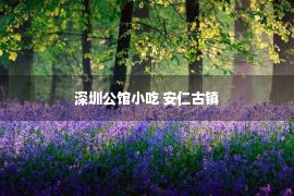 深圳公馆小吃 安仁古镇