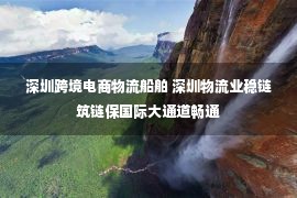 深圳跨境电商物流船舶 深圳物流业稳链筑链保国际大通道畅通