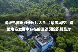 跨境电商识别卡图片大全 【聚焦风控】跨境电商发展中存在的洗钱风险识别及对策建议