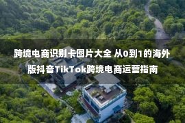 跨境电商识别卡图片大全 从0到1的海外版抖音TikTok跨境电商运营指南