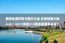 跨境电商识别卡图片大全 长枪短炮大快人心！2017央视315晚会重要看点全汇总