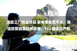 洗鞋工厂创业项目 家电黄金周不火，海信拼营销美的抓质量，TCL康佳投产创维撤单