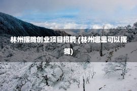 林州摆摊创业项目招聘 (林州哪里可以摆摊)