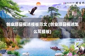 创业项目概述模板范文 (创业项目概述怎么写模板)