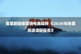 我国新媒体营销电商趋势 《2020年地面频道调研报告》