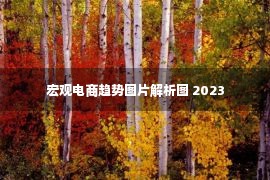 宏观电商趋势图片解析图 2023