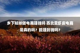 乡下姑娘做电商赚钱吗 西北亚虾皮电商是真的吗？能赚到钱吗？