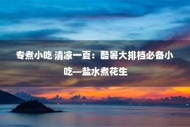 专煮小吃 清凉一夏：酷暑大排档必备小吃—盐水煮花生