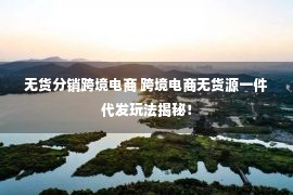 无货分销跨境电商 跨境电商无货源一件代发玩法揭秘！