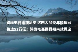 跨境电商赚钱品类 这四大品类年销售额将达万亿！跨境电商爆品指南就看这篇！