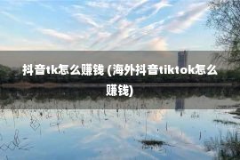 抖音tk怎么赚钱 (海外抖音tiktok怎么赚钱)