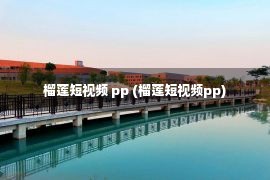 榴莲短视频 pp (榴莲短视频pp)