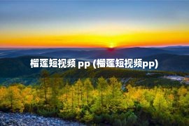 榴莲短视频 pp (榴莲短视频pp)