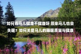 如何看马儿健康不健康呀 原来马儿也会失眠？如何关爱马儿的睡眠质量与健康