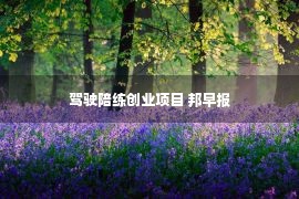 驾驶陪练创业项目 邦早报