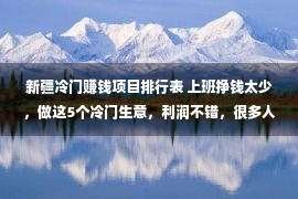 新疆冷门赚钱项目排行表 上班挣钱太少，做这5个冷门生意，利润不错，很多人都没听说过