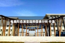 电商形态演变趋势图表分析 中金