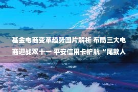 基金电商变革趋势图片解析 布局三大电商迎战双十一 平安信用卡护航“尾款人”