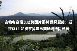 实物电商增长趋势图片素材 乘风聚势：迎接双11 品牌在抖音电商场域协同经营