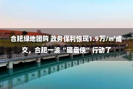 合肥绿地团购 政务保利惊现1.9万/㎡成交，合肥一波“砸盘侠”行动了