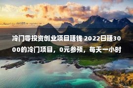 冷门零投资创业项目赚钱 2022日赚3000的冷门项目，0元参预，每天一小时