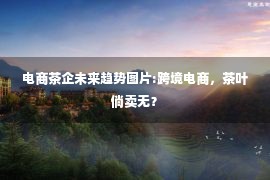 电商茶企未来趋势图片:跨境电商，茶叶倘卖无？