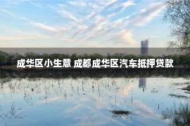 成华区小生意 成都成华区汽车抵押贷款