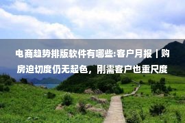 电商趋势排版软件有哪些:客户月报｜购房迫切度仍无起色，刚需客户也重尺度感（8月）