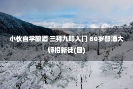 小伙自学酿酒 三拜九叩入门 80岁酿酒大师招新徒(图)