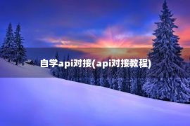 自学api对接(api对接教程)