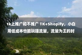 tk上推广和不推广 TK+Shopify，小白用低成本也能玩赚流量，流量为王的时代来了