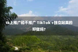 tk上推广和不推广 TikTok +独立站真的好做吗?