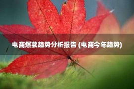 电商爆款趋势分析报告 (电商今年趋势)