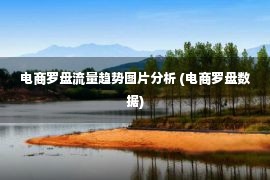 电商罗盘流量趋势图片分析 (电商罗盘数据)