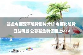 基金电商变革趋势图片分析 电商化趋势日益明显 公募基金销售瞄上P2P